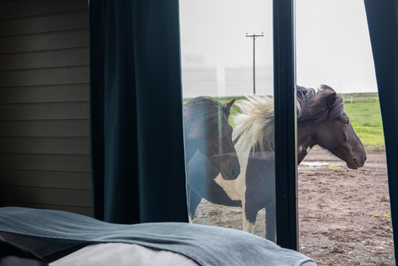 Ferienwohnung Sleeping With The Horses Hvolsvöllur Exterior foto
