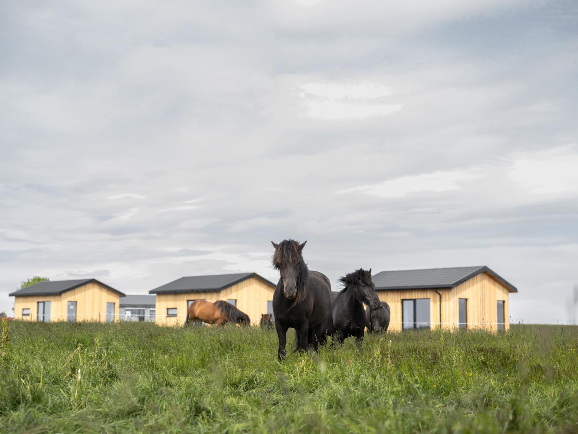 Ferienwohnung Sleeping With The Horses Hvolsvöllur Exterior foto