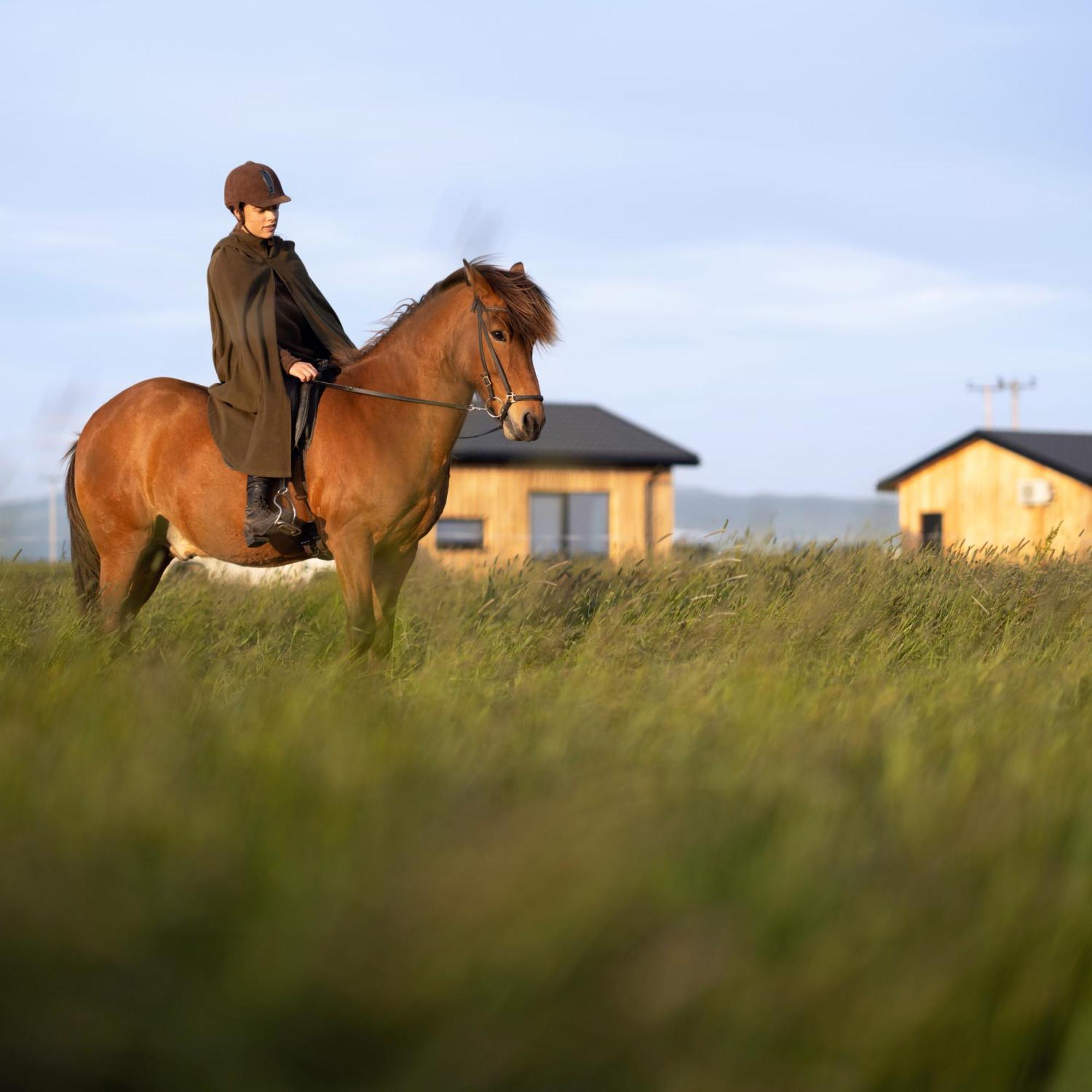Ferienwohnung Sleeping With The Horses Hvolsvöllur Exterior foto
