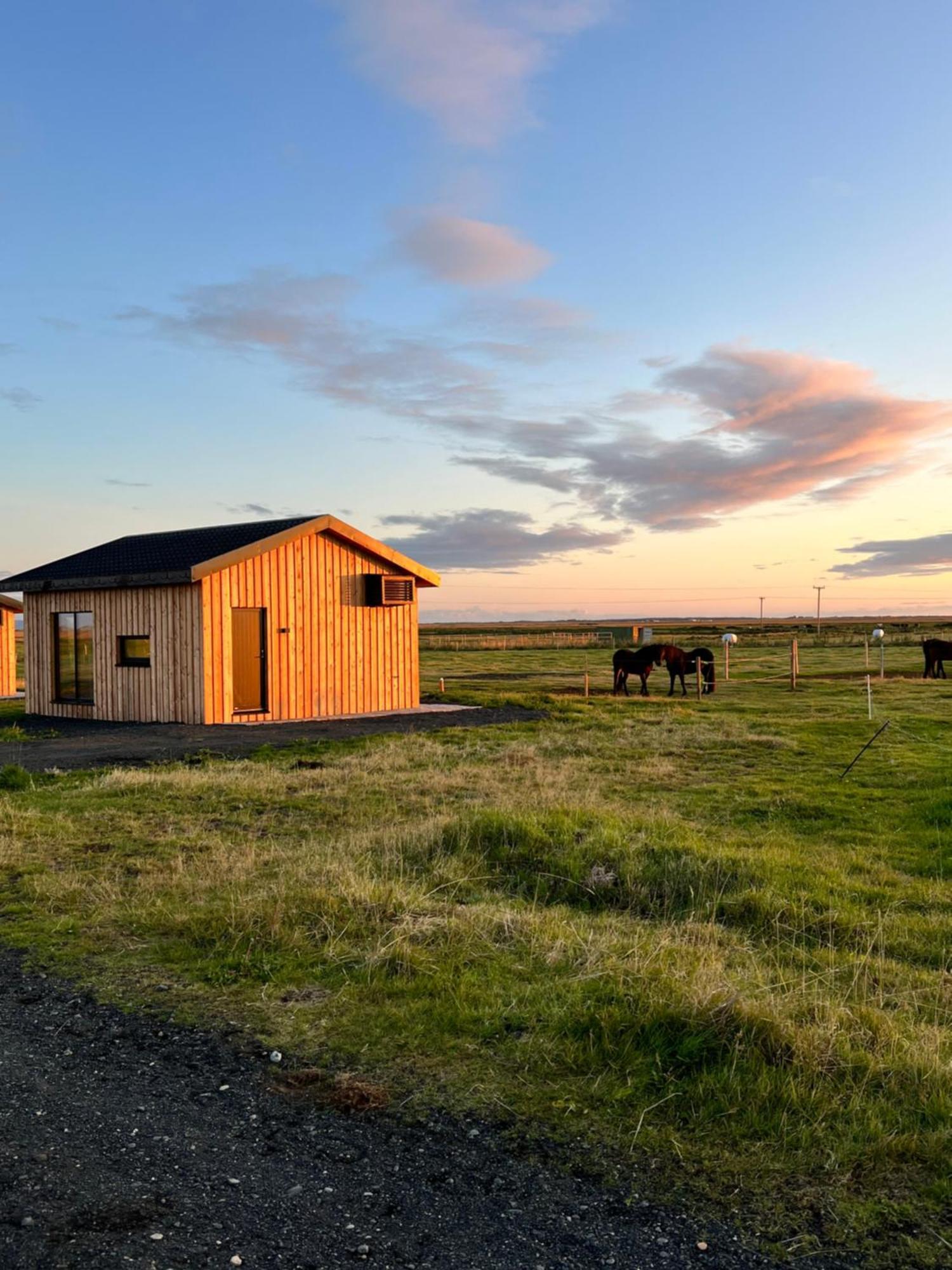 Ferienwohnung Sleeping With The Horses Hvolsvöllur Exterior foto